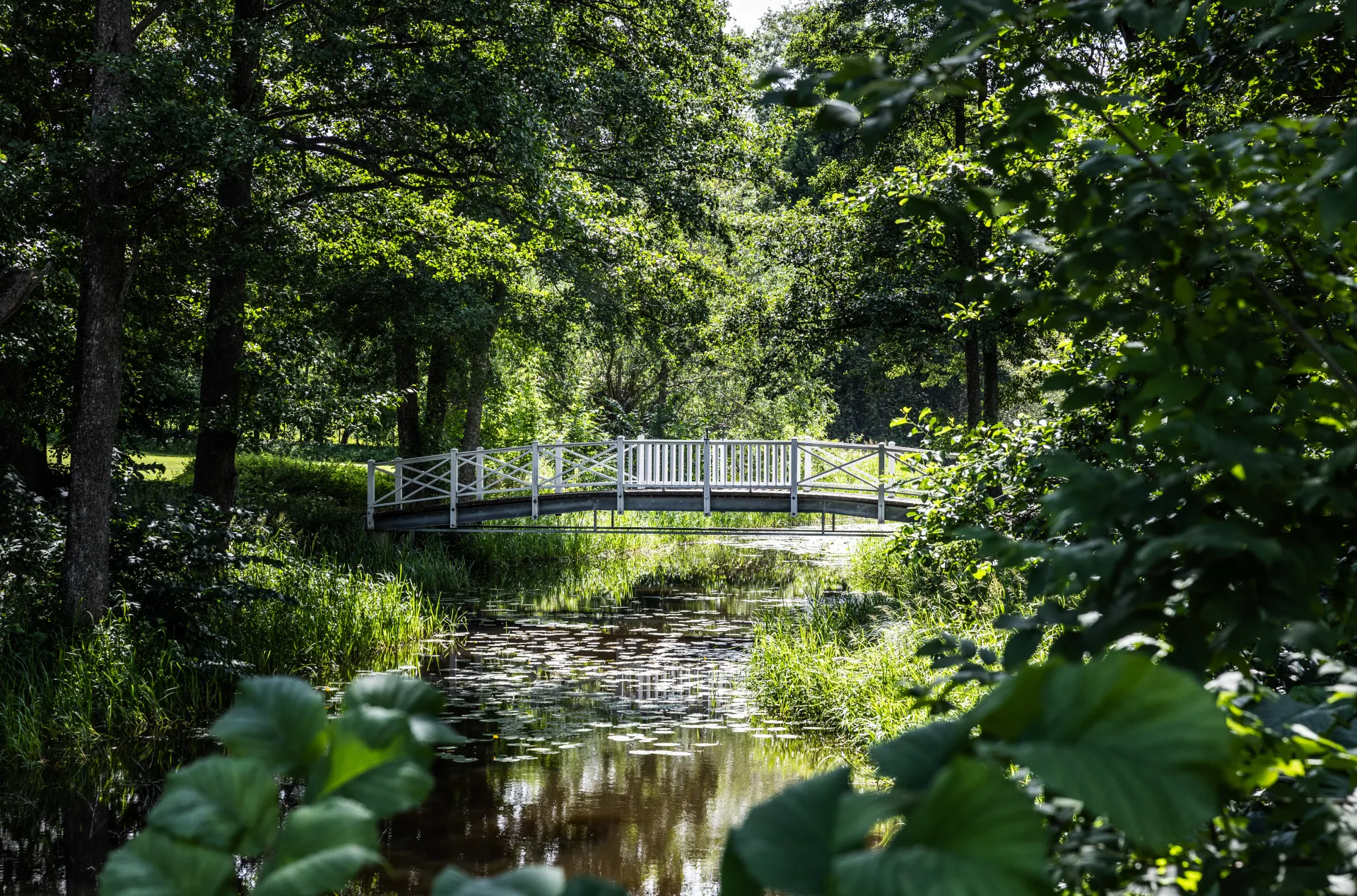 foto–helen–shippey