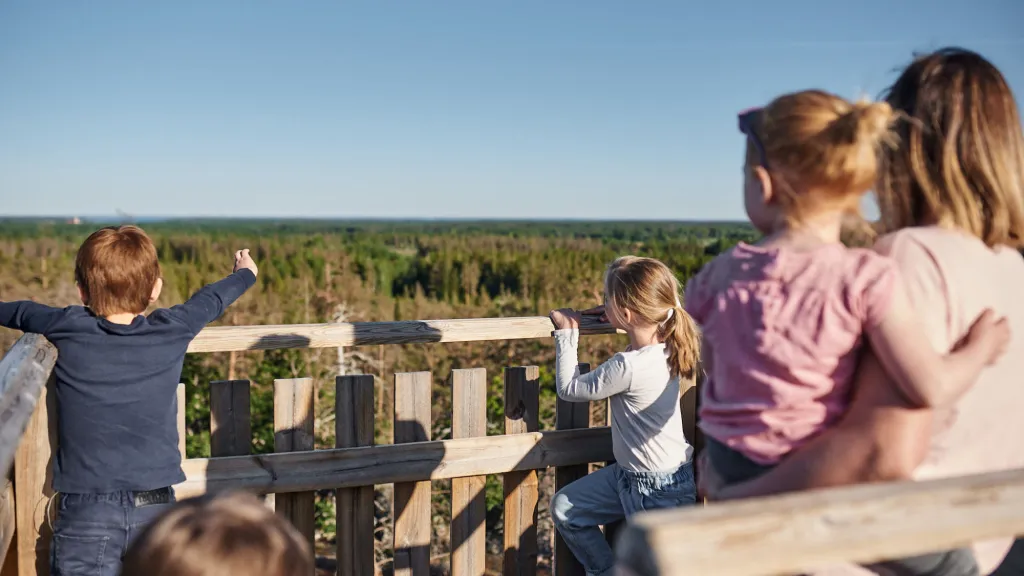 familjevänliga_aktiviteter_mönsterås_AngeliqaDaldorph