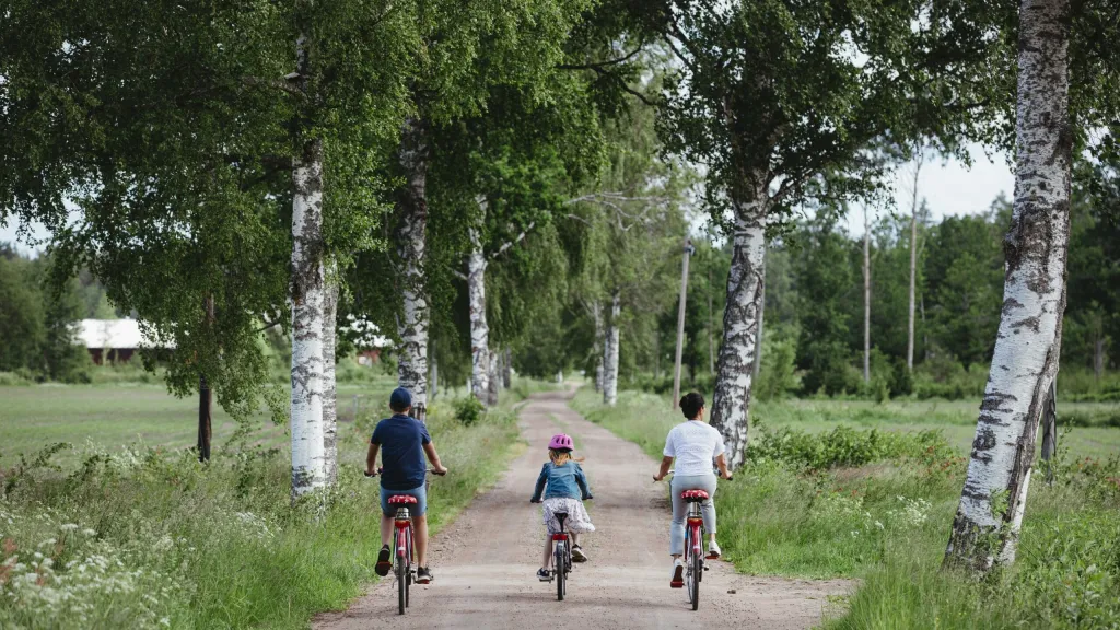 bo_hultsfred