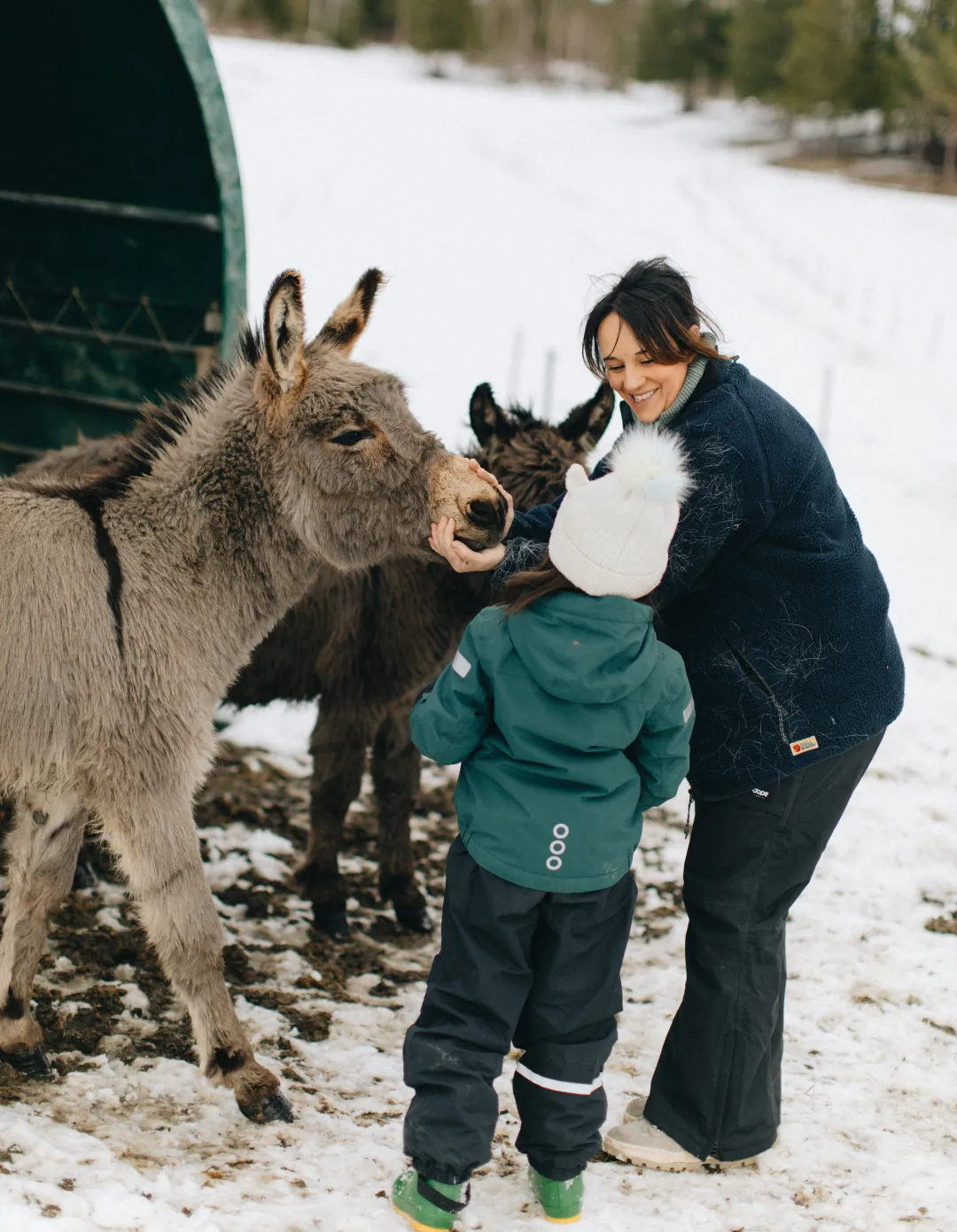 Bo & Leva i Sundsvall thumbnail