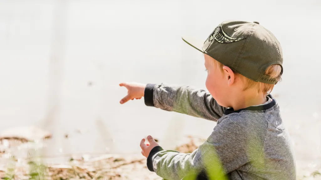 Gränslandet – där Sverige möter Norge och naturen möter stillheten thumbnail