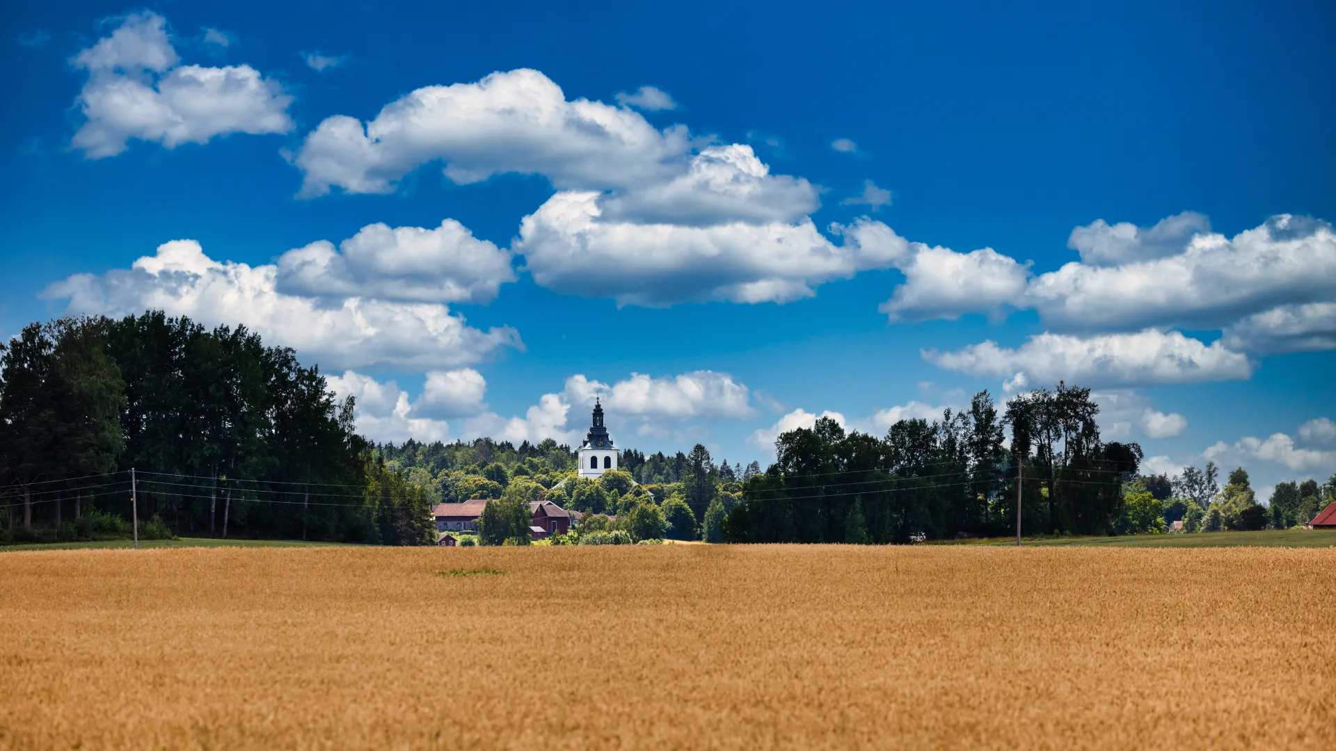 Läget mitt i möjligheterna thumbnail