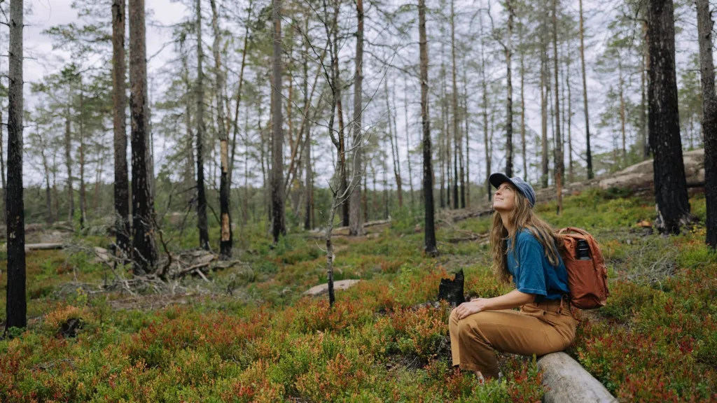 hultsfred_platsforhelalivet