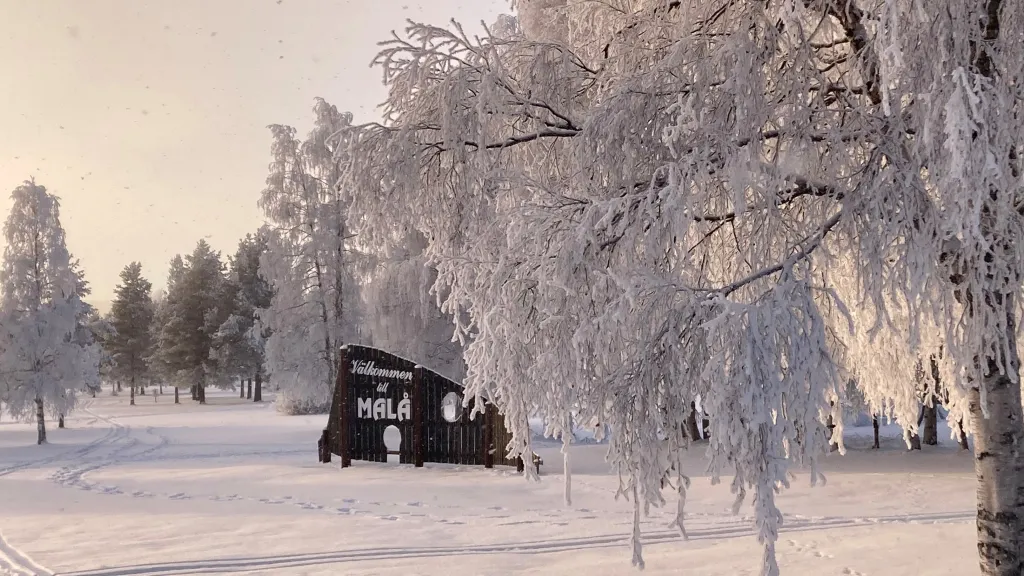 Välkommne till Malå