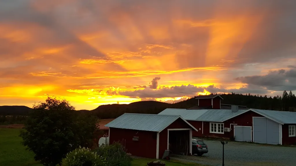 Fotograf: Linda Sandqvist