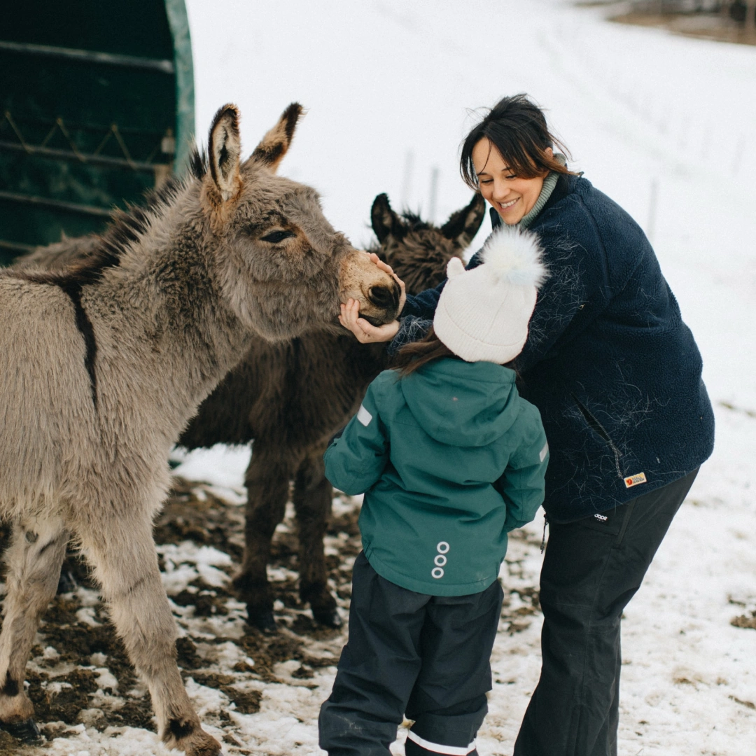 Familj med hund leker i snön.